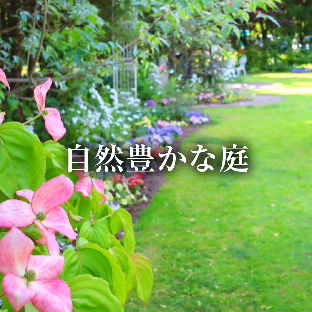 自然豊かな庭