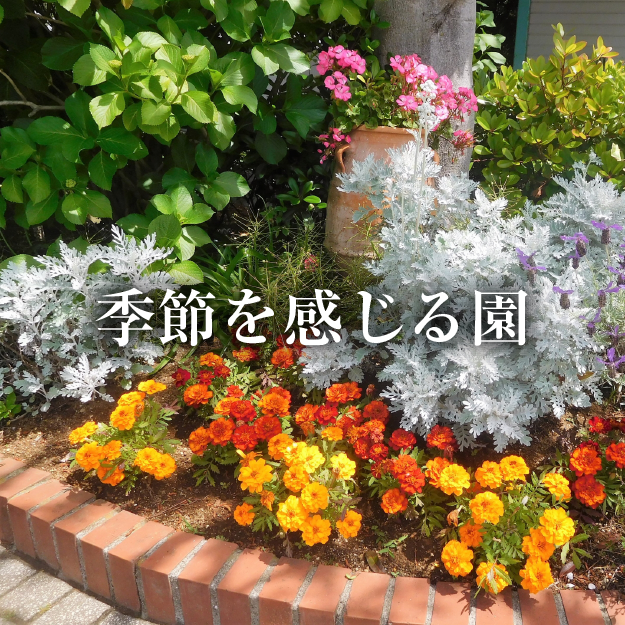 季節を感じる園